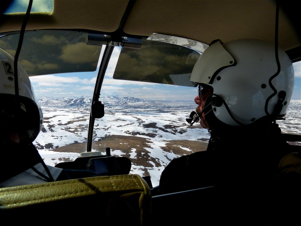Searching for cliff-nesting raptors
