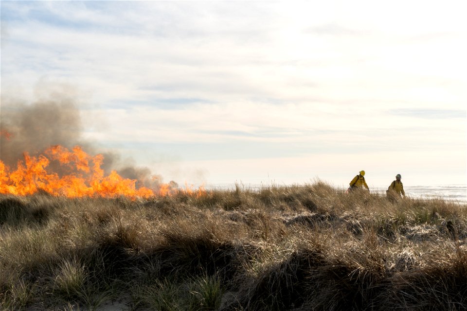Siuslaw Oregon Dunes Prescribed Burn 2022