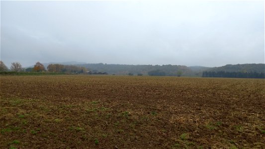 Ancien emplacement du Camp du Vernet