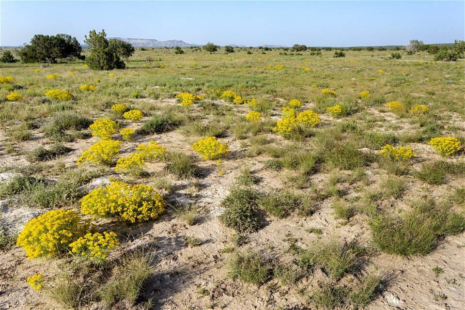 East of Mesa Redonda