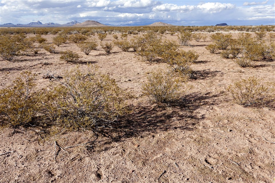 Southwest bajada of the Pyramid Mountains