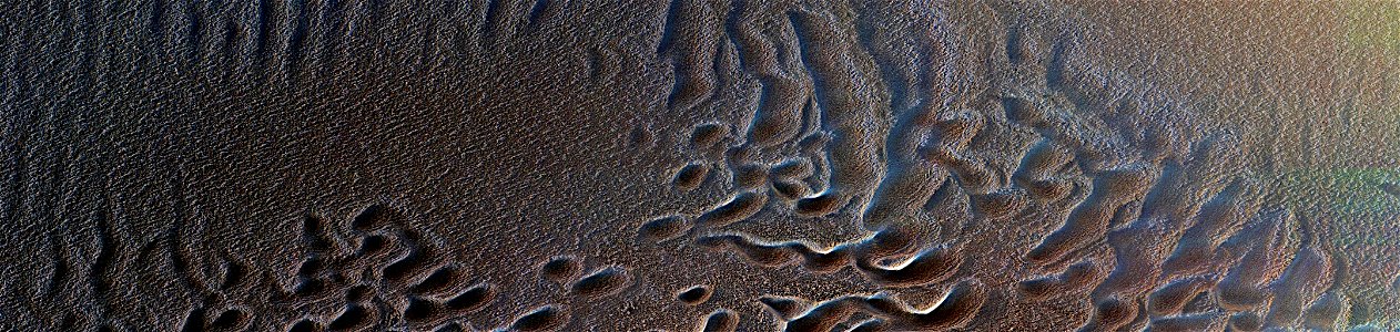 Mars - Teardrop Defrosting Features photo