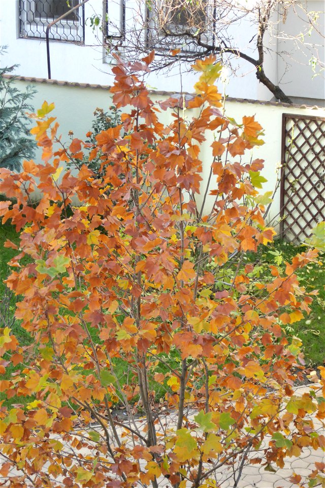 fall-clouds-HQ-NC2015_1116_102813