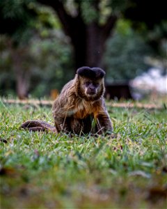 IMG_1697