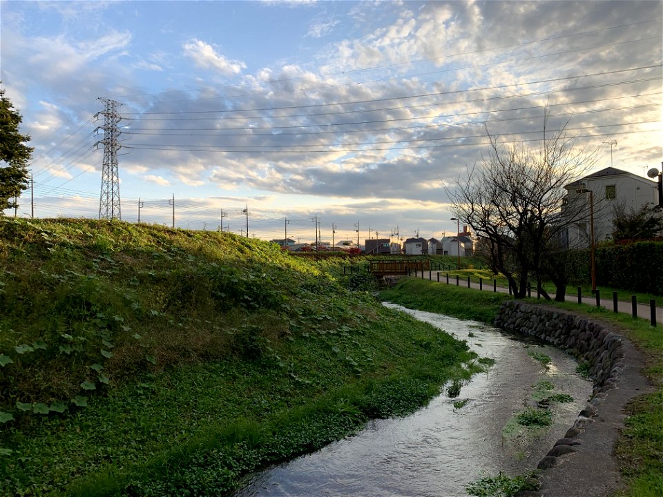 Kurome River in Shimosato, Higashikurume-shi in November