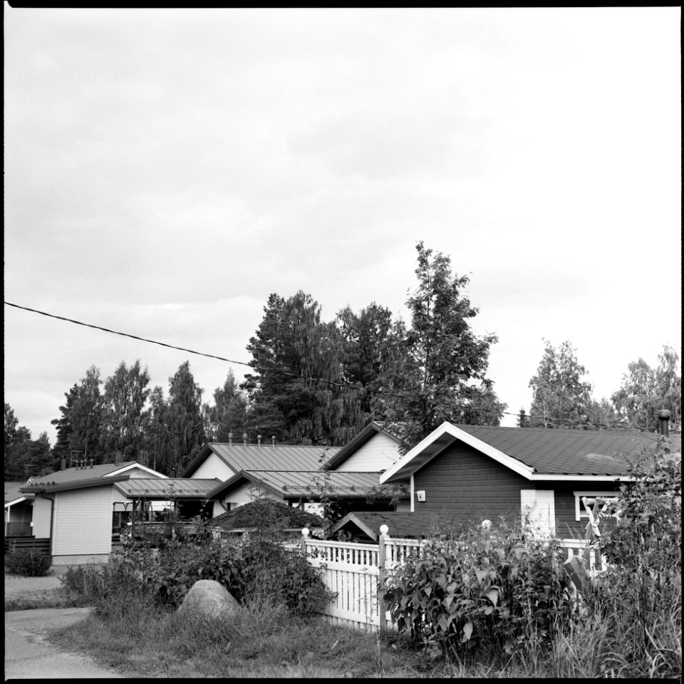 Roofs photo