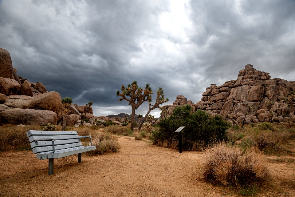 Bench along Cap Rock Nature Trail photo