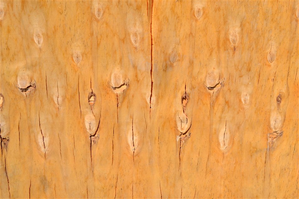 Texture