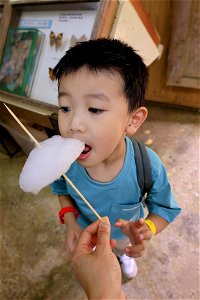 2023/6/4 Niceday森林祭親子生態觀察