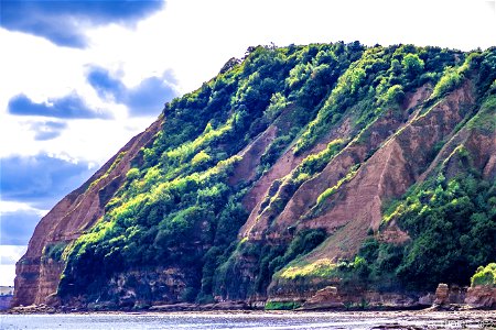 Sidmouth Sandstone Cliffs