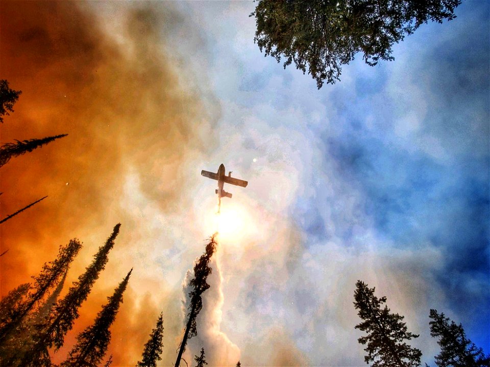 Summit Trail Fire