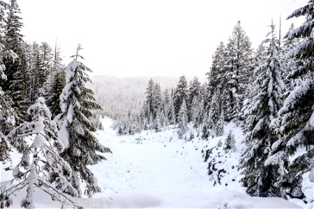 snowy-scene-backside-dl-tubing-hill-2016jpg_49364584176_o photo