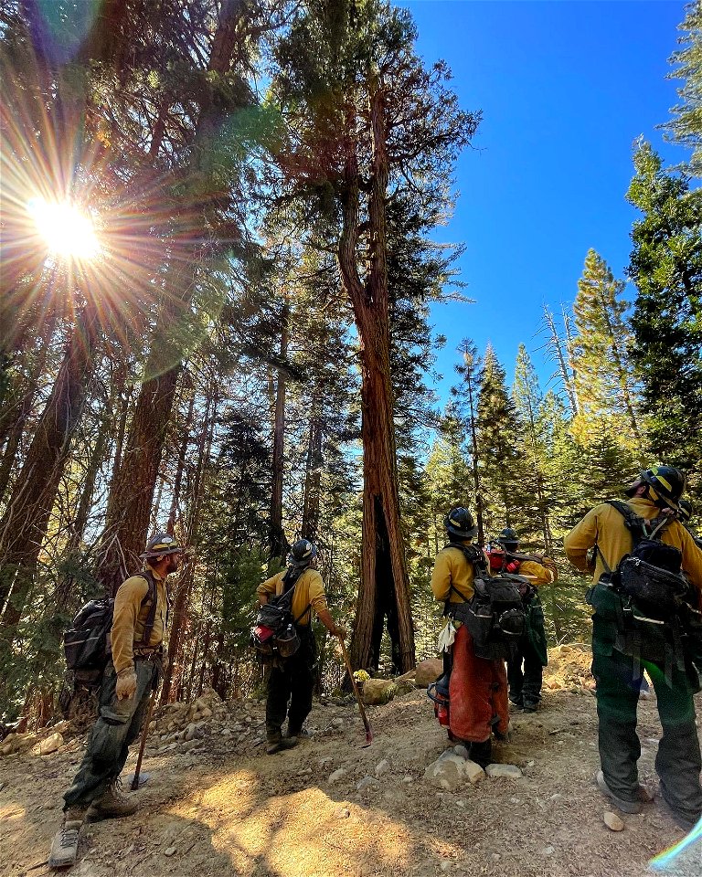 2022 BLM Fire Employee Photo Contest Category - Crews photo