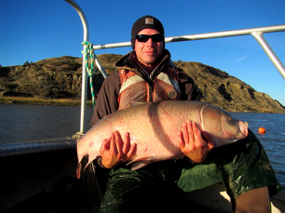 Bigmouth Buffalo photo