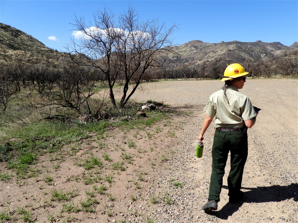 Fossil Creek Soil Monitoring photo