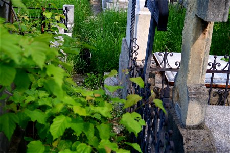 cimitir Sfanta Vineri (43)