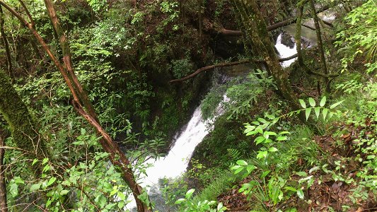 Mountain river in Hinohara-mura, Tokyo