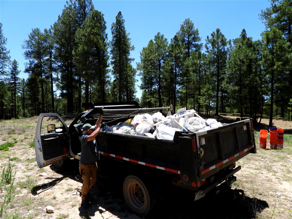 Pickin' Up in the Pines May 2022