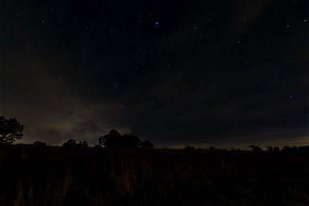 Night Sky Over Big Meadows