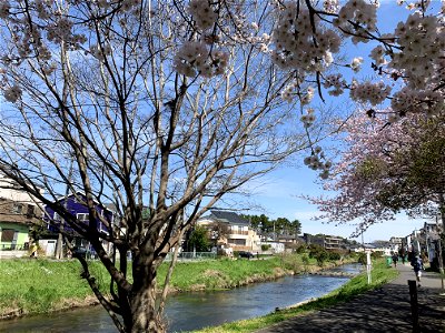 Kurome River