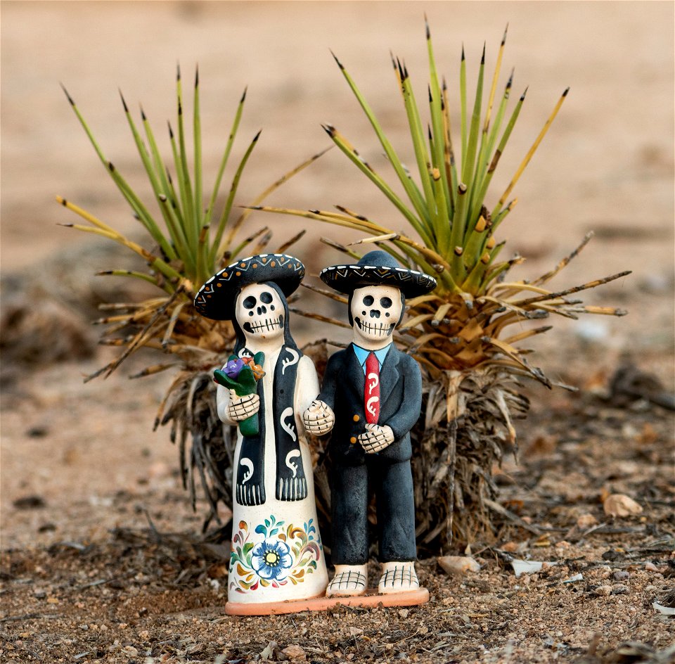 Dia de los Muertos (Day of the Dead)