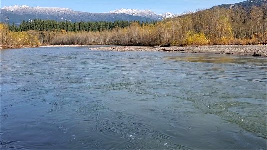 Sauk River toward Suiattle Mt. Baker-Snoqualmie National Forest Matt Riggen November 8 2021