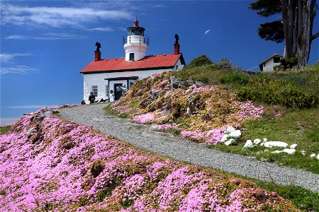011 - BATTERY POINT LIGHTHOUSE (05-11-2022) -08