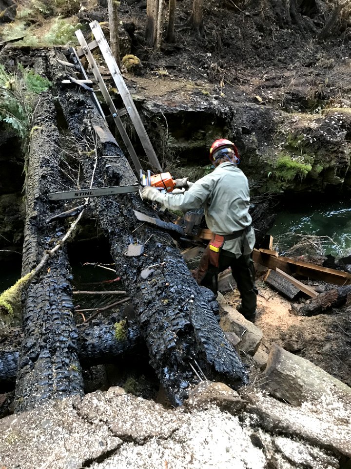 2021-FS-GPNF- Damon Little cutting up the burnt up Chinook Creek trail bridge in the Siouxon Trail post Big Hollow Fire, photo by Dean Robertson. Forest Service Photo.