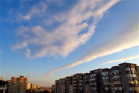 nori-vant_Vitan2016_1113_170931