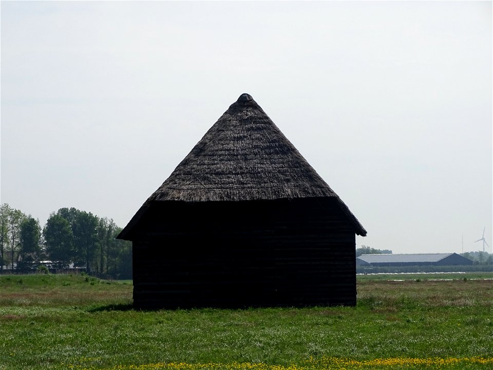 Zo zwart als veen