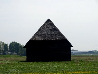 Zo zwart als veen