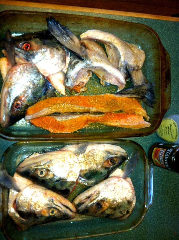 fish_heads_laura
