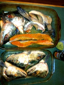 fish_heads_laura