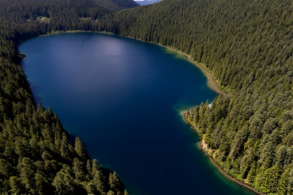 O-Gifford Pinchot Blue Lake Cr Trail-6