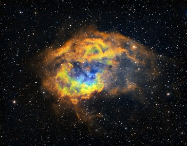 Sh2-261 Lowers Nebula (HSHO) photo