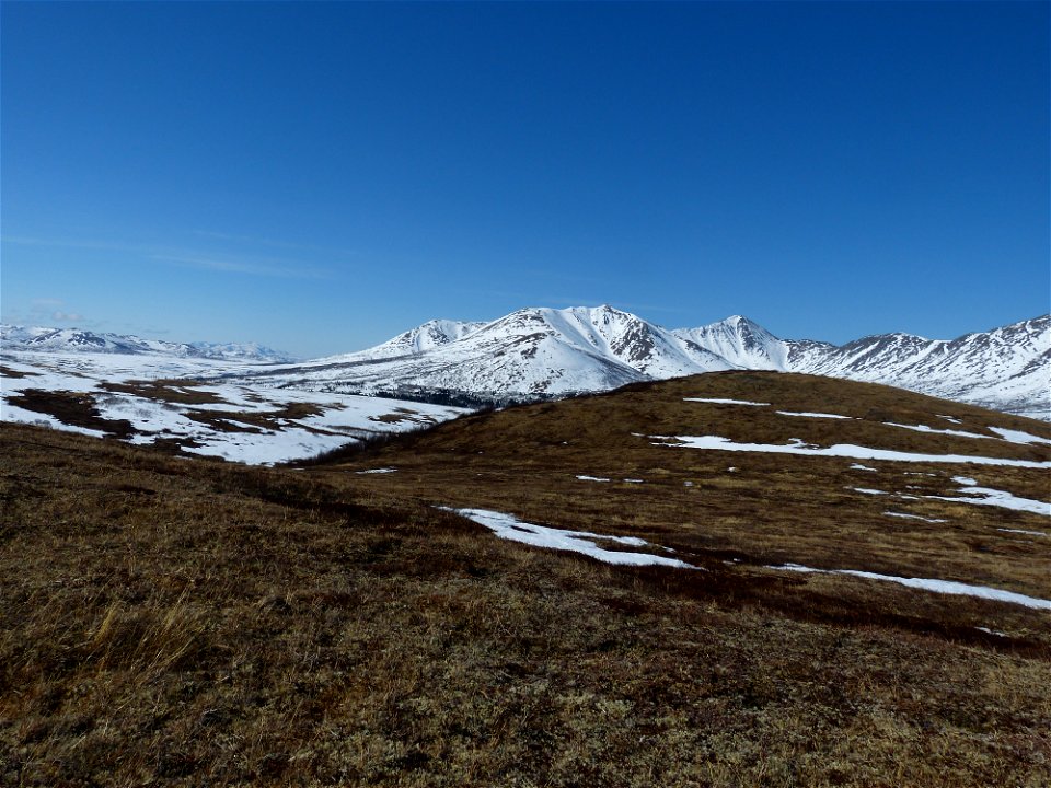 Kilbuck Mountains