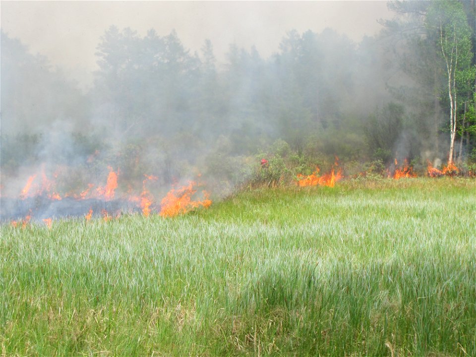 Back Fire Smoke