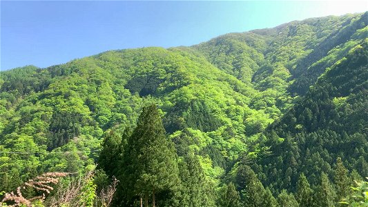 Nippara in Okutama-machi