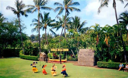 Hawaii in April 1998 (13) photo