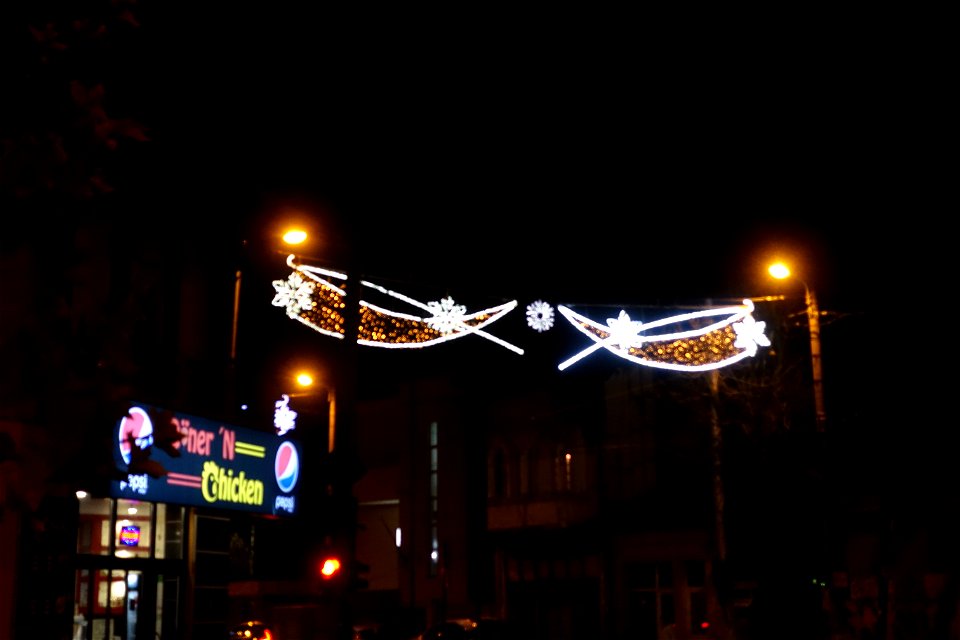 DSC08782