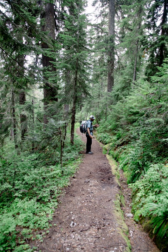 PNTA-Park Butte-Bell Pass-Mount Baker-8