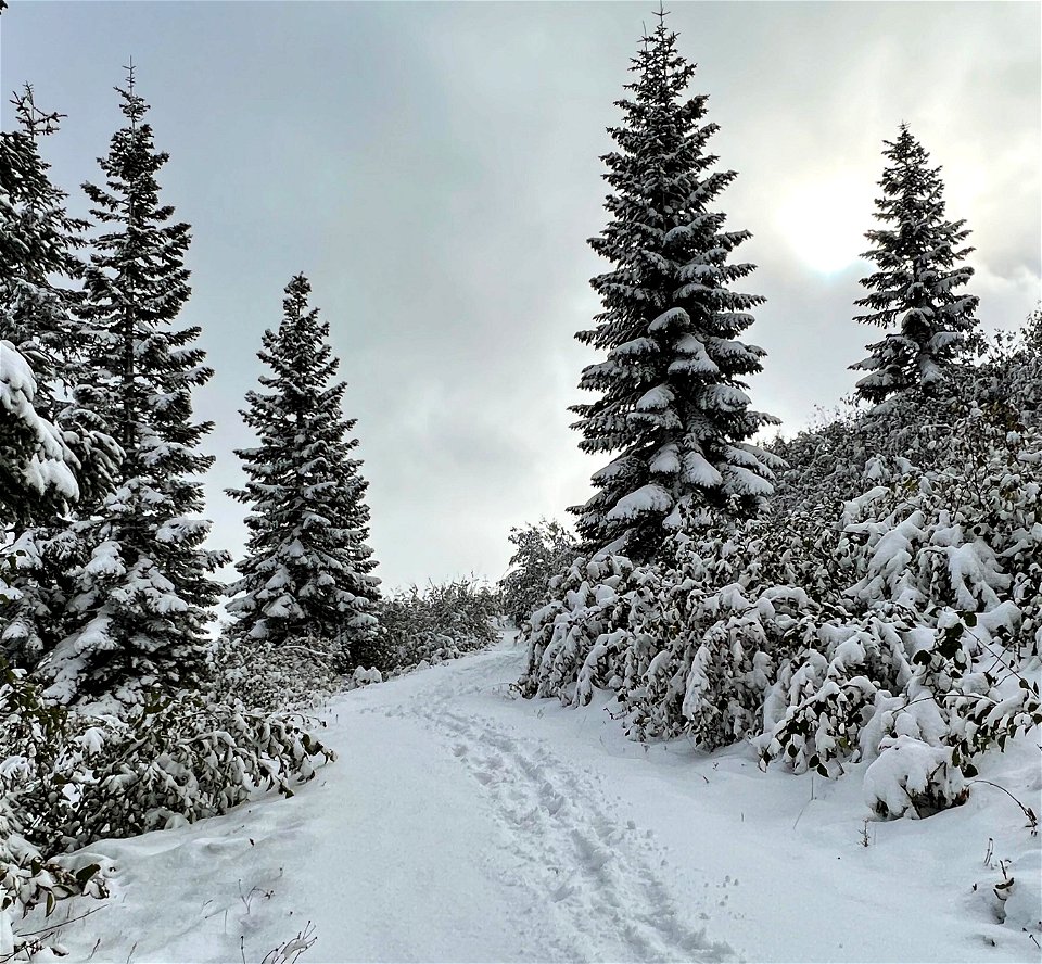 20221102-Johnston Ridge before SR 504 closed for the season 01 by Ian Reed