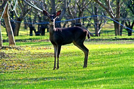 DSC00312_v1