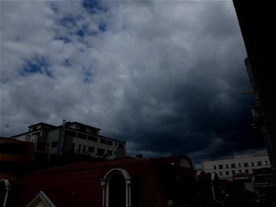 nori-NCramfil2015_0529_122441