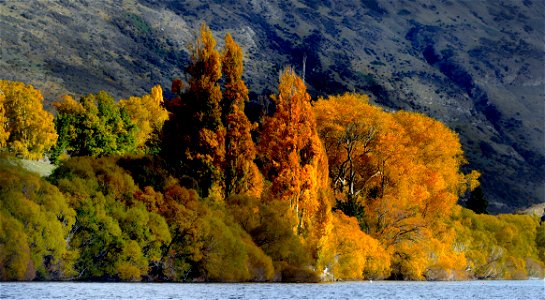 Autumn Lake Hayes. photo
