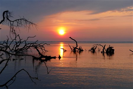 P1940749