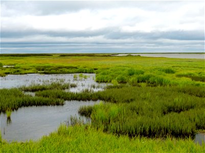 Wetland, Old Chevak, Alaska photo