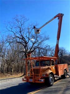 Ice Storm Cleanup photo