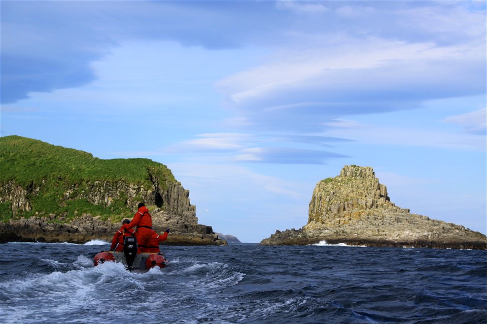 Surveying coastal wildlife photo