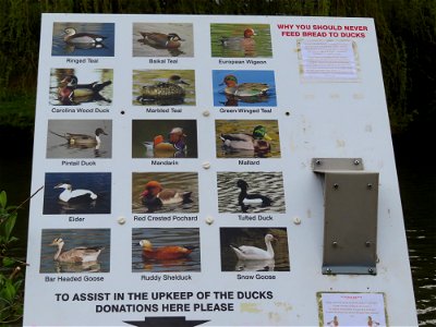 Wildfowl Info Sign